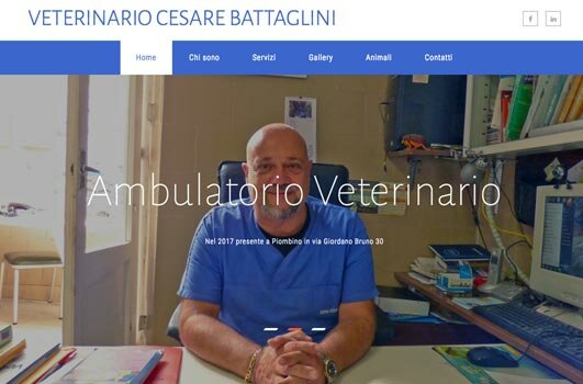 Sito web per Veterinario